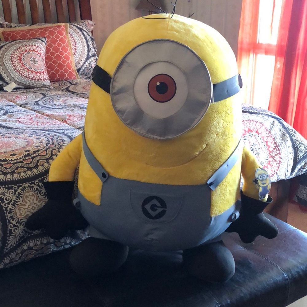Minion Mayham